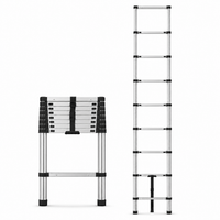 The Ashcroft Pro 3.2m Telescopic Ladder — 10 Steps
